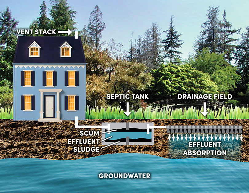 How a septic system works